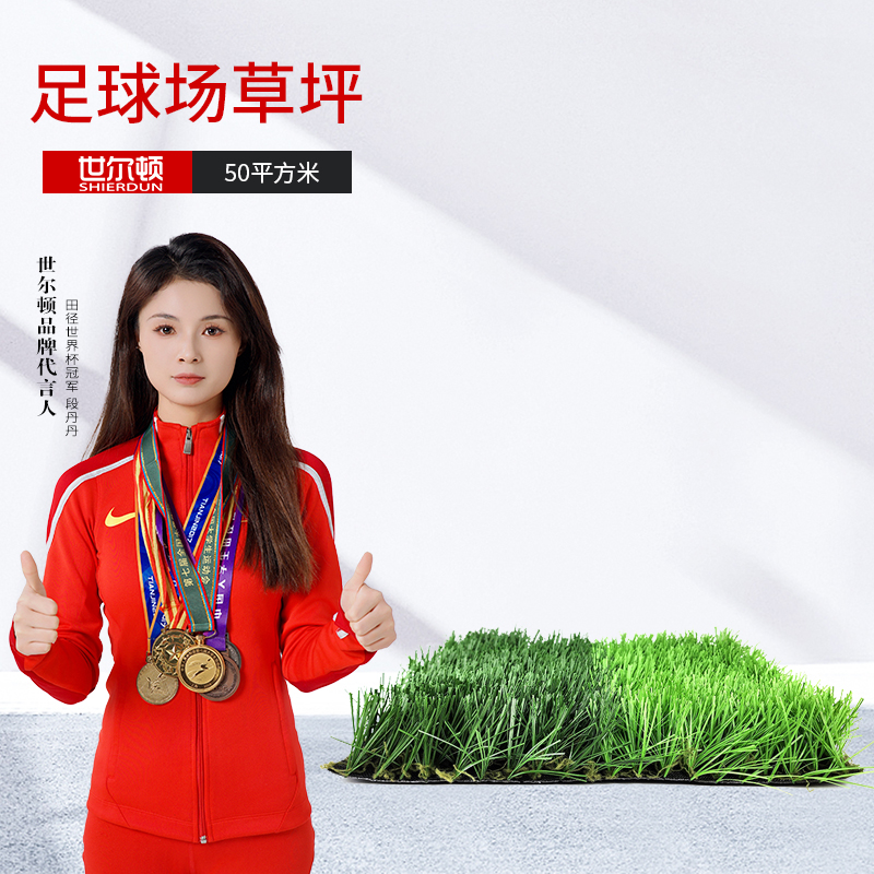 世尔顿(SHIERDUN) 足球场草坪 50 平方米