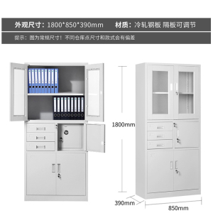 乙壬钢制文件柜办公资料柜铁皮档案柜带锁储物柜财务凭证柜