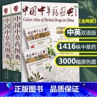 [正版]中国中草药图典 上下册 中英双语版 1416味中草药 中草药彩图大全书 中药 配方 中医泰斗邓铁涛荐 广东科学技