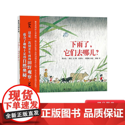 下雨了它们去哪儿硬壳精装图画书蒲蒲兰绘本别开生面的田野观察蕴含了趣味十足的自然奥秘适合4岁5岁6岁7岁儿童阅读书籍正版童
