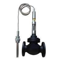 允诚 温度控制阀 QDS-150 个