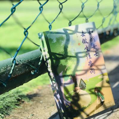 如烟女士去做生涯咨询