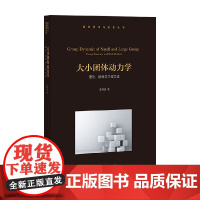 大小团体动力学 理论 结构与工作方法 夏林清 著 心理学