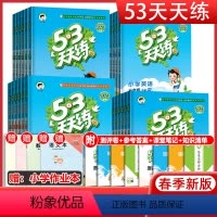 [6本]天天练(语数英)+全优卷(语数英)★人教版 六年级下 [正版]2024春53天天练一年级二年级三四五六年级上下册