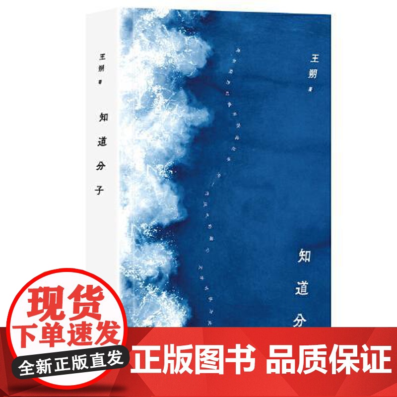 王朔:知道分子(2024年平装) 北京十月文艺出版社