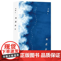 王朔:知道分子(2024年平装) 北京十月文艺出版社