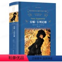 [正版]安娜卡列尼娜书完整版 草婴译 列夫托尔安娜·卡列尼娜(新版)