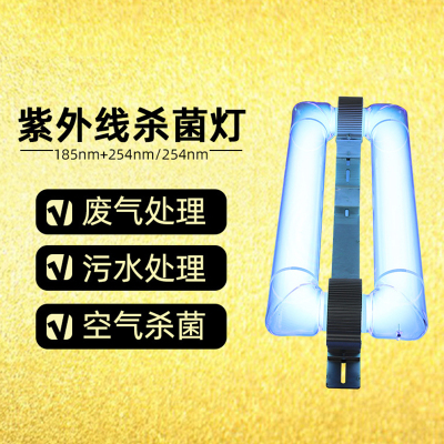 河洛科星 大功率无极紫外线消毒灯杀菌灯HX212