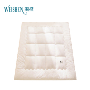 围盛 纯棉软垫 120*200*3cm-5斤白 张
