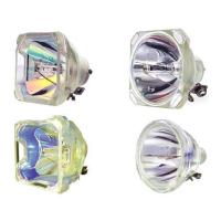 成越全新宝莱特BOXLIGHT CP-7622原装投影机灯泡投影仪灯泡_avy81
