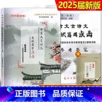 2025版 中考 文言诗文点击 书+答案 上海 [正版]任选2025届中考文言诗文考试篇目点击初三语文模拟测试卷初中文言