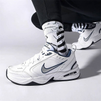 耐克(NIKE)休闲鞋男鞋新款轻便舒适透气日常训练跑步运动鞋 415445-001 ZP