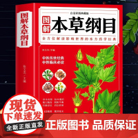 正版 本草纲目 李时珍 全彩图解白话文典藏版 中医基础理论中医书籍大全经典药方医药大全养生中草药全图鉴倪海厦中医书籍全套