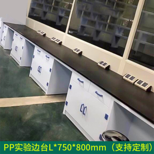 帅畅全钢实验台钢木PP边台柜试验台化验室工作台实验室桌操作台定制(每米单价)[工厂现做 7天内发货]