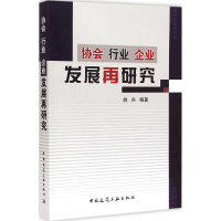 音像协会 行业 企业 发展再研究姚兵 编著