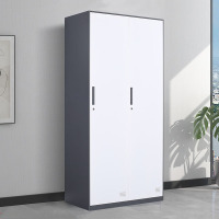 创世人 办公家具拆装办公更衣柜咖色铁皮柜2门更衣柜员工宿舍换衣柜带锁衣帽柜储物柜子