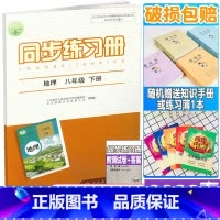 同步练习册 八年级下册 地理 八年级/初中二年级 [正版]2022年春新版 配人教版 初二2下学期同步练习册 地理 八年