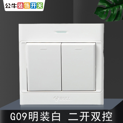 bull公牛86型g09白双开双控开关86型墙壁明装两位二位2位电源双位双联