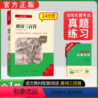 九年级上册必读[全国版]唐诗三百首 [正版]名校课堂艾青诗选和水浒传必读课外书艾青诗精编水浒传九年级上册必读课外书老师推