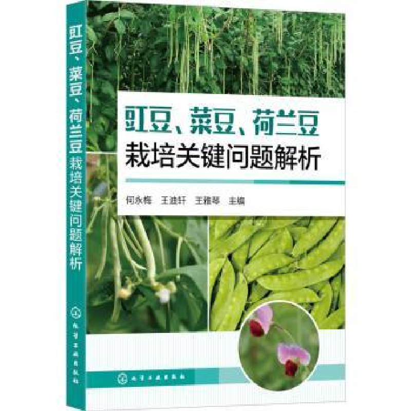 音像豇豆菜豆荷兰豆栽培关键问题解析何永梅