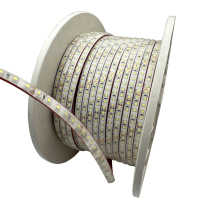 盛王盛荣 LED灯带