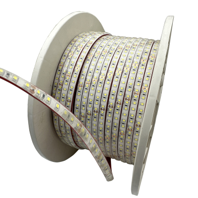 盛王盛荣 LED灯带