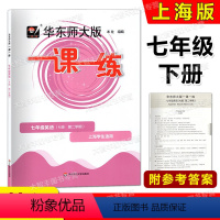 英语 七年级下 [正版]2023华东师大版一课一练 英语N牛津版 七年级第二学期 华师大版一课一练 7年级下册 上海牛津