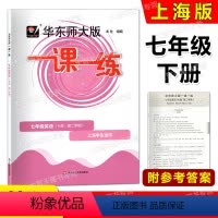 英语 七年级下 [正版]2023华东师大版一课一练 英语N牛津版 七年级第二学期 华师大版一课一练 7年级下册 上海牛津