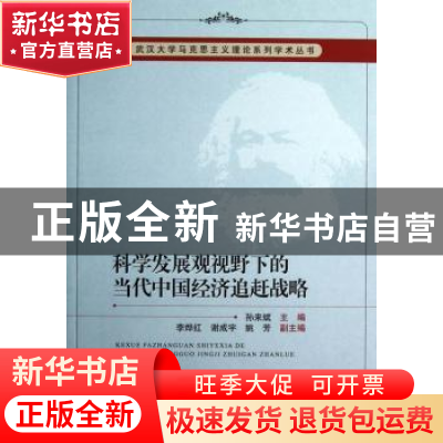 正版 科学发展观视野下的当代中国经济追赶战略 孙来斌主编 中国