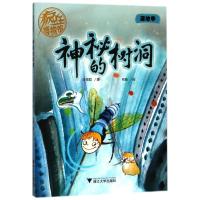 正版新书]疯狂博物馆?神秘的树洞/疯狂博物馆陈博君978730818019