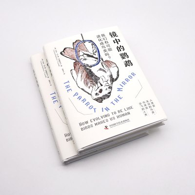 镜中的鹦鹉:我们有可能进化成鸟类吗?
