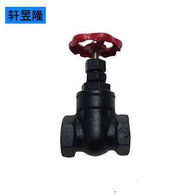 轩昱隆铸铁截止阀DN20/个