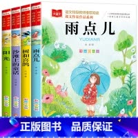 [全套4册]金波四季美文 [正版]金波四季童话美文注音版全套4册雨点儿阳光树和喜鹊沙滩上的童话小学生一二三年级课外读书阅