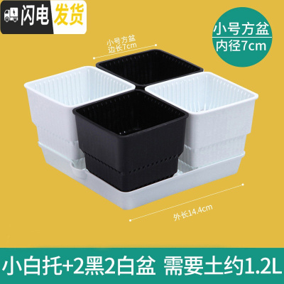 三维工匠多肉花盆带托盘肉肉套装组合透气塑料控根控型盆器 小白托+2黑2白盆(7cm盆) 小花盆容器