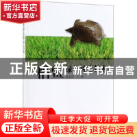 正版 稻鳖绿色种养技术 蒋业林 海洋出版社 9787521003871 书籍