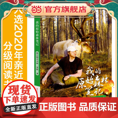 我的原始森林笔记