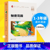[正版]智慧熊彩绘注音版 秘密花园 小学生一二三年级读物书课外阅读书籍 6-8-9周岁经典书物儿童名著