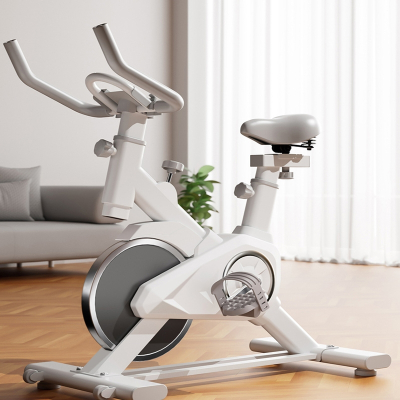  路飞动感单车家用健身mini超室内房自行车减肥运动器材磁控