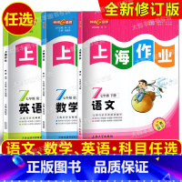 2023春 三科套装 七年级下 [正版]钟书金牌上海作业语文数学英语七年级第二学期/7年级下 套装上海版初中教辅课后同步