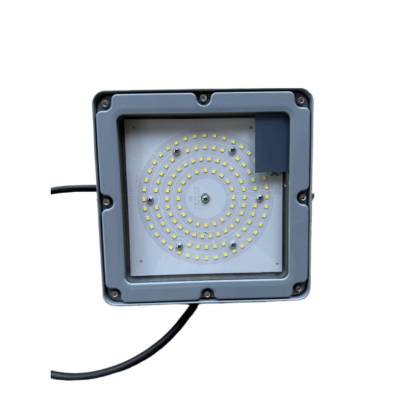 品兴 PX9160 60W IP66 220V 5700k LED投光灯 银色