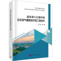 超深薄互层潮坪相白云岩气藏高效开发工程技术