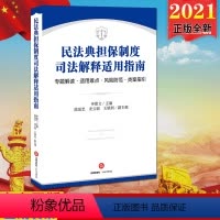 [正版]2021新版直发民法典担保制度司法解释适用指南 专题解读 适用难点 风险防范 类案指引 申惠文