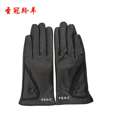 圣冠羚羊 女式触屏精品手套 均码 副