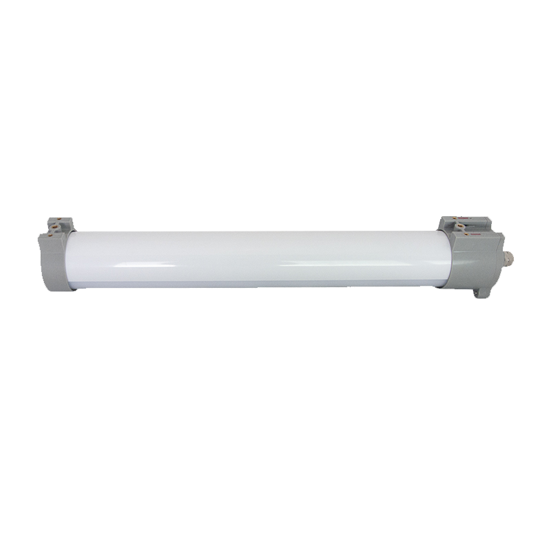 凯瑞CARY 白色LED应急灯 KLE1010-20W 应急时间≥180min IP67 AC220V 6000K