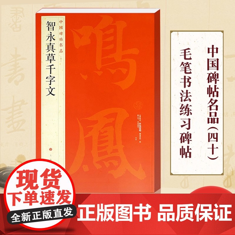 智永真草千字文 中国碑帖名品40 释文注释 繁体旁注 草书毛笔书法字帖碑帖 楷书草书毛笔字帖书法临摹临帖练习古帖 上海书