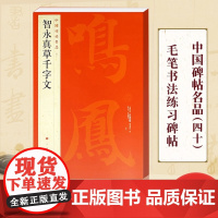 智永真草千字文 中国碑帖名品40 释文注释 繁体旁注 草书毛笔书法字帖碑帖 楷书草书毛笔字帖书法临摹临帖练习古帖 上海书