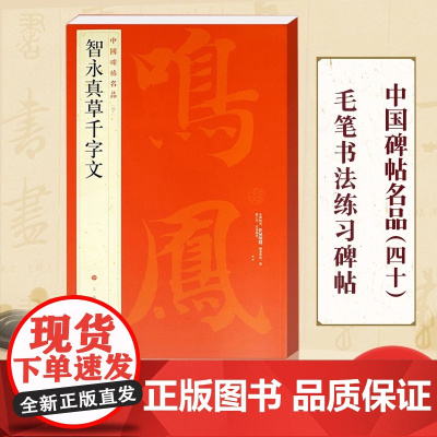 智永真草千字文 中国碑帖名品40 释文注释 繁体旁注 草书毛笔书法字帖碑帖 楷书草书毛笔字帖书法临摹临帖练习古帖 上海书