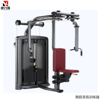 康力强LS503商用坐式直臂夹胸手臂收合反飞鸟胸背肌训练局部型力量器械
