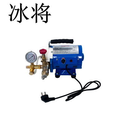 冰将 手提式电动试压泵 220V 台