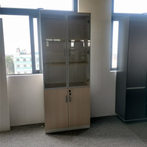匡大文件柜0.8米两门文件柜 MS22-L08B (800W×400D×2000H)